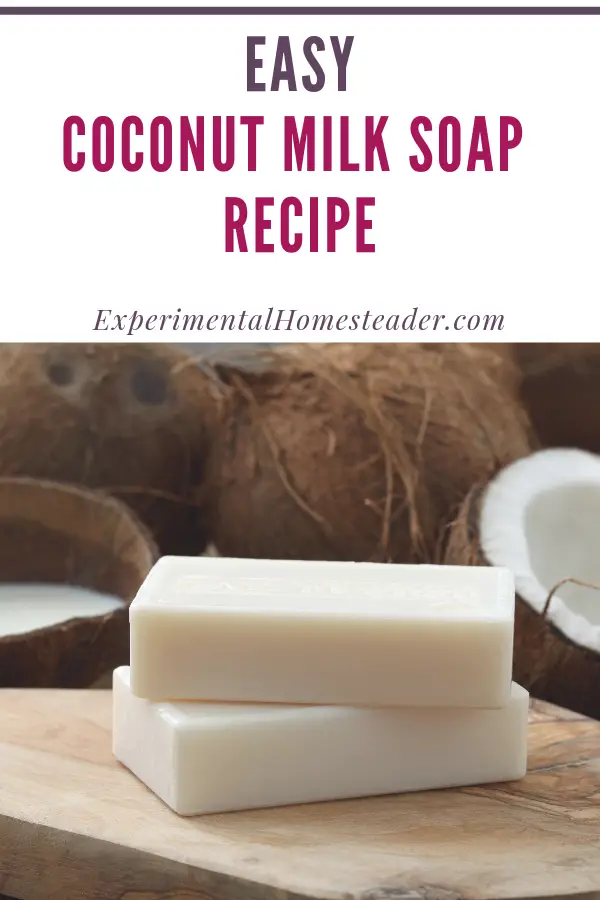 easiest soap making instructions