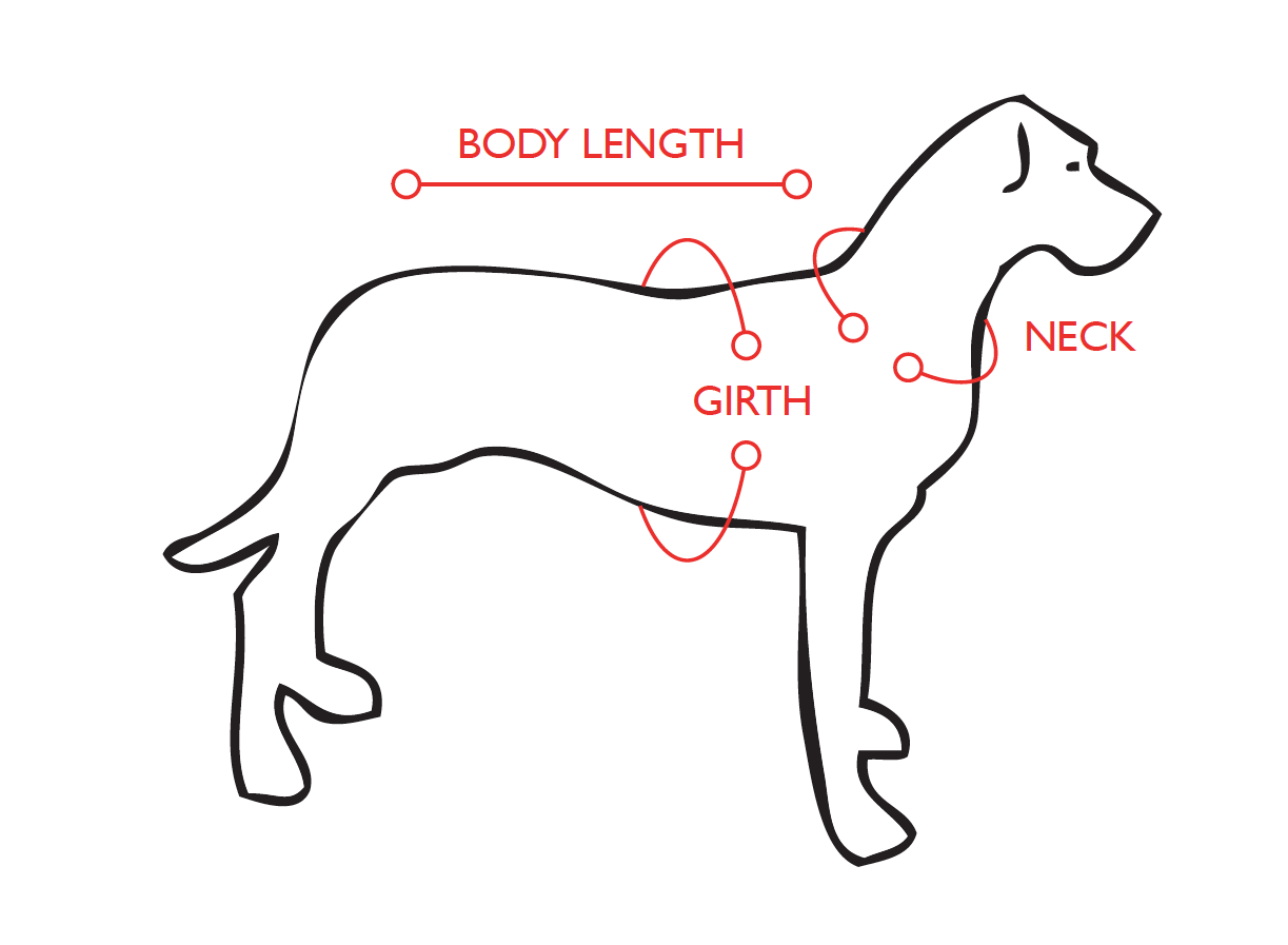 ezydog chest plate dog harness instructions