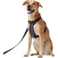 ezydog chest plate dog harness instructions