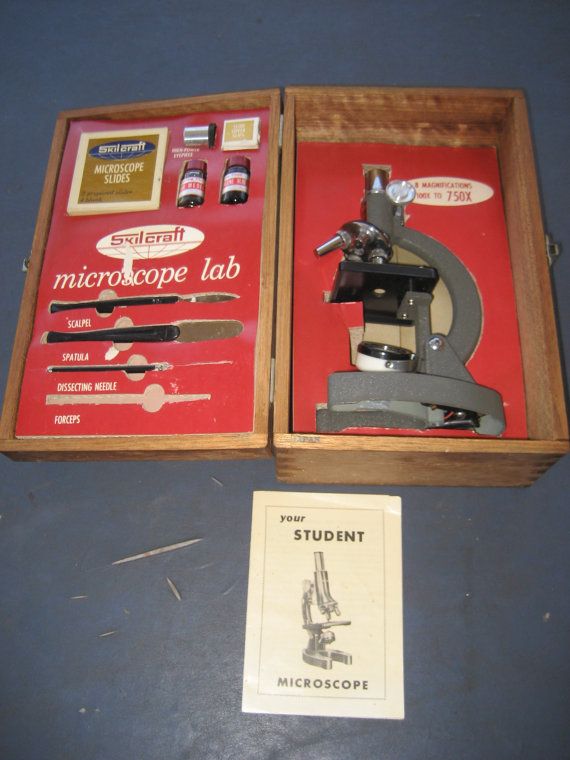 instructions to using a microscope