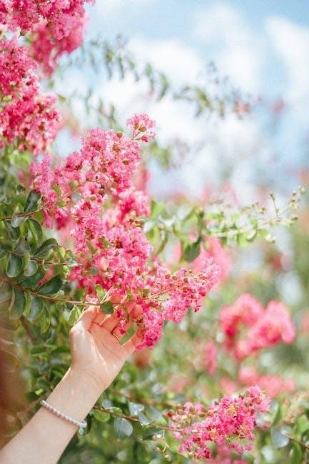 crepe myrtle planting guide