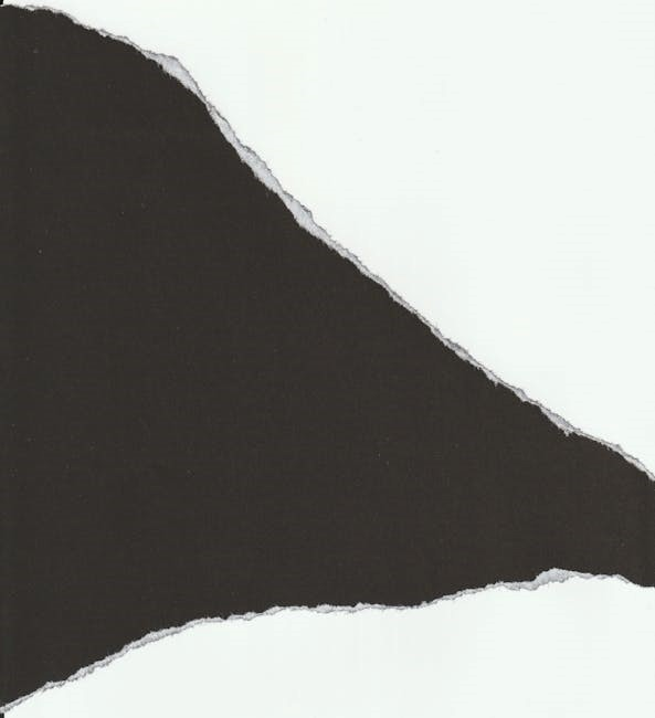 black & decker handy steamer manual